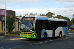 Bus490-Sandford-1