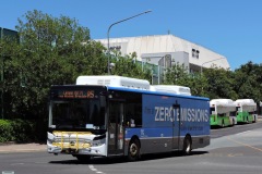 Bus490 - Bradley Street