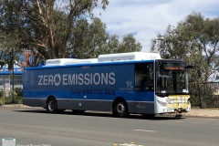 Bus490 - Cohen Street