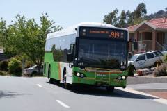 Bus-491-Paperbark-Street
