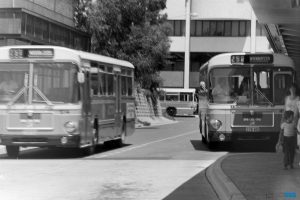 BUS 492-1