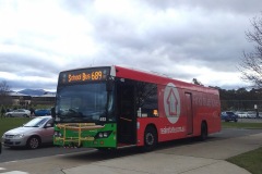 Bus-493-Mackillop-CLG-Isabella-Plains