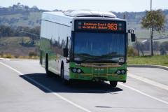 Bus-493-Steve-Irwin-Avenue