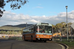 Bus-494-Mitchell