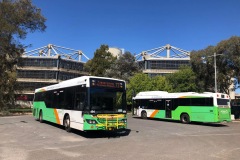 Buses 494 and 386 - Callam St Layover