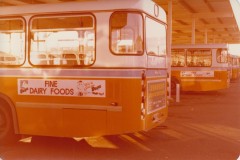 Bus 498