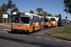 Bus498-McMillanCr-1