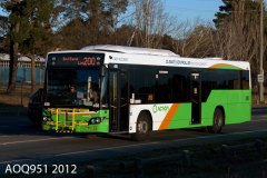 Bus-498-Flemington-Road