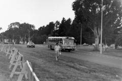 Bus 501 - Federal Hwy