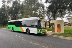 Bus 503 - Clive Steele Ave