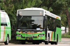 Bus-503-Woden-Bus-Station