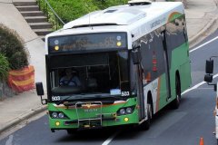 Bus503-Bugden-1