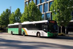 Bus507-DicksonIc-1
