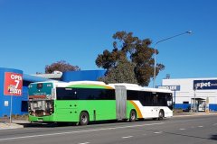 Bus507-Cohen-2