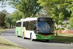 Bus509 - Lennox Csg