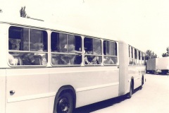 Bus-510-3