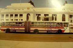 Bus-510-King-George-Terrace