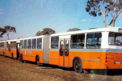 Bus-510-Pan-Pacific-Games-1977