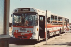 BUS 510 - TOP RYDE