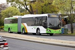 Bus-511-Edward-St-Wagga-2