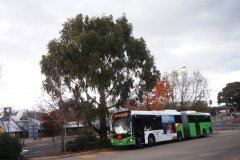 512Woden1