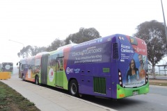 Bus-512-Anthony-Rolfe-Avenue
