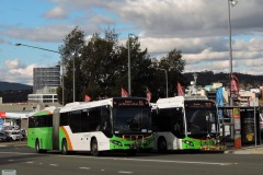 Bus-513-Cohen-Street-Bus-Station-with-Bus-618-