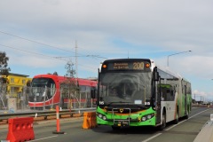 Bus-515-Flemington-Road-with-Tram-004-