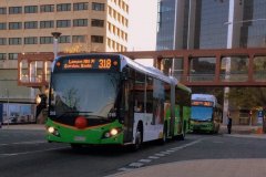 Bus515-Alinga-1