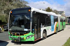 Bus517-ManukaCcl-1