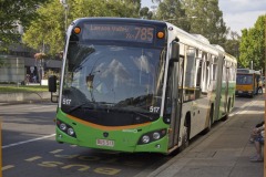 Bus-517-Northbourne-Avenue