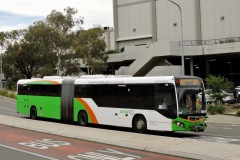 Bus-518-Cohen-Street