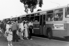Bus-519