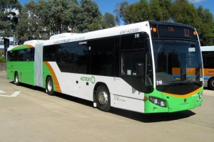BUS 519-2