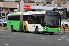 Bus520-CohenSt-1
