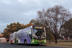Bus-521-Burke-Crescent