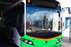 Bus-524-Woden-Depot