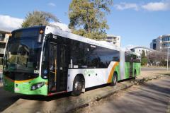 Bus 525 - Manuka Cir