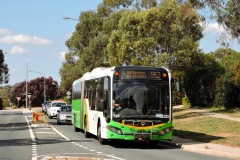 Bus-525-Wanganeen-Avenue