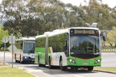 Bus-525-Mackillop-CLG-Isabella-Plains