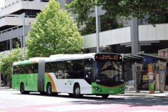Bus528-CityBs-1