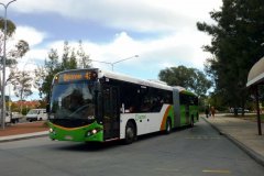 Bus528-Kippax-1
