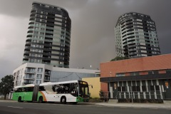 Bus-530-Anthony-Rolfe-Avenue