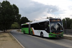 Bus-530-Kosciuszko-Avenue