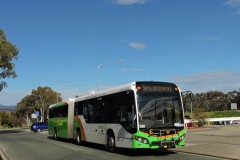 Bus-530-Rylah-Crescent