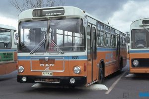 BUS 531-1