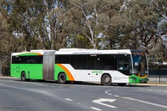 Bus-531-Hodgson-Crescent