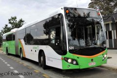 Bus531-KateCrace-1