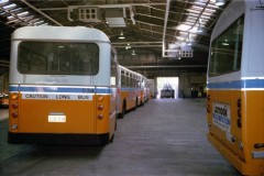 Bus-534-Kingston-Depot