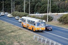Bus 534 - ADELAIDE AVE